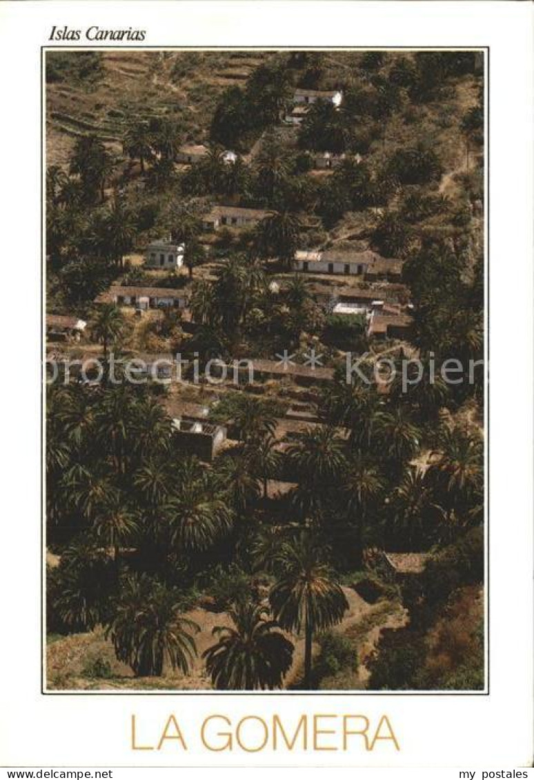 La Gomera Islas Canarias Tamargada