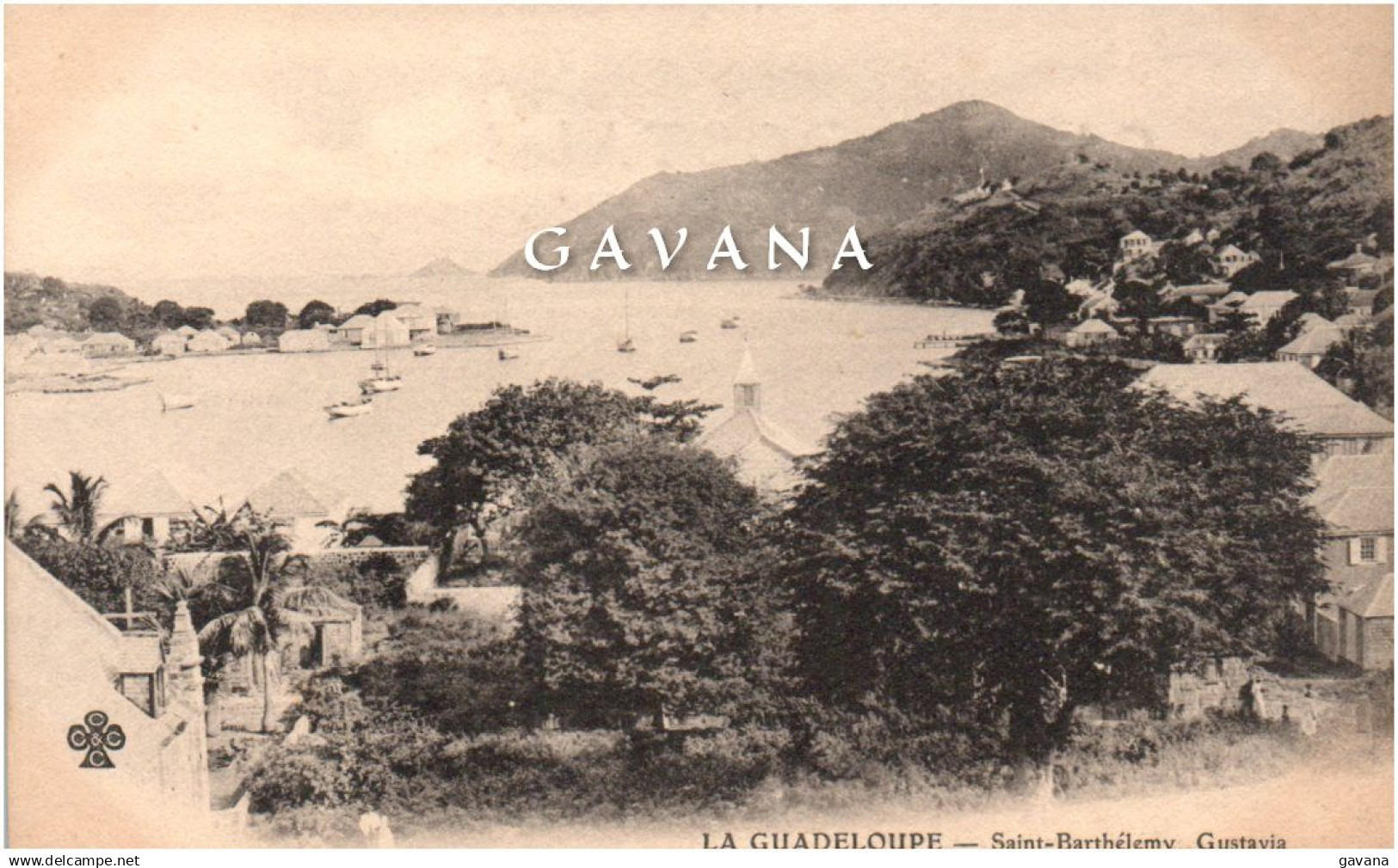 LA GUADELOUPE - SAINT-BARTHELEMY - Gustavia