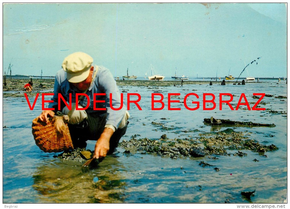 LA PLAINE SUR MER    PORT GIRAUD      PECHERIE
