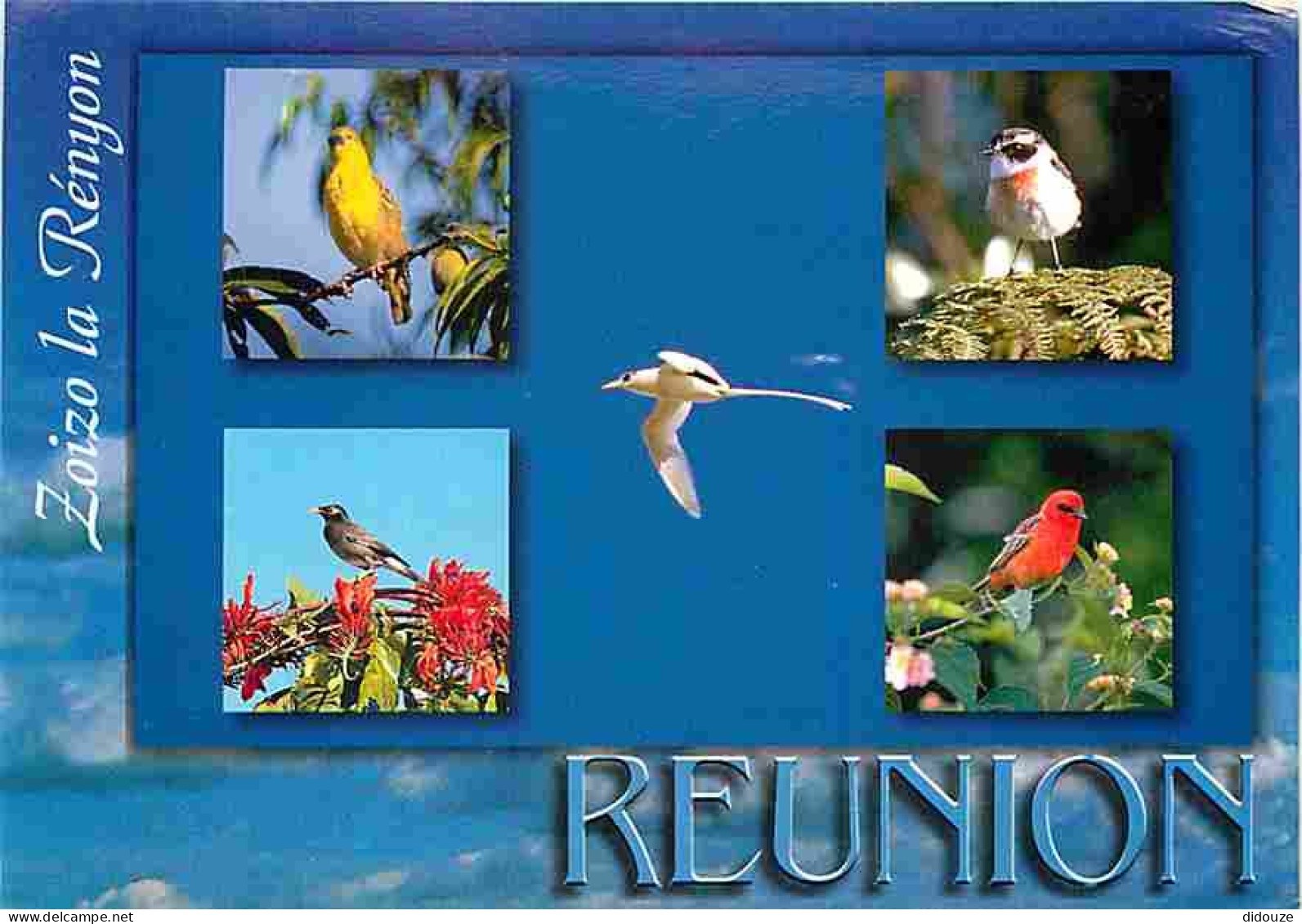 La Réunion - Oiseaux de la Réunion - Multivues - CPM - Voir Scans Recto-Verso