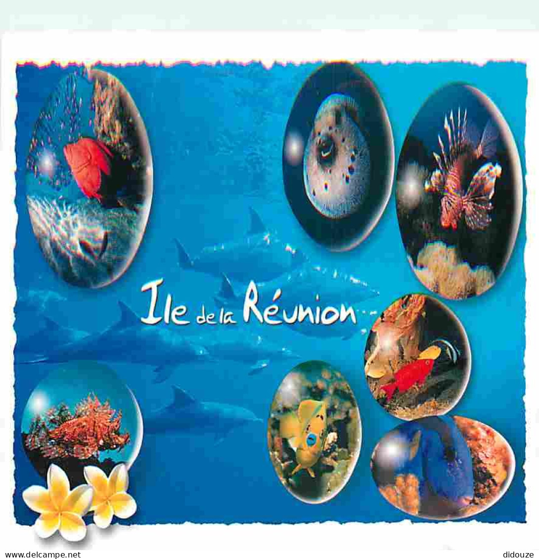La Réunion - Poissons de la Réunion - Multivues - CPM - Voir Scans Recto-Verso