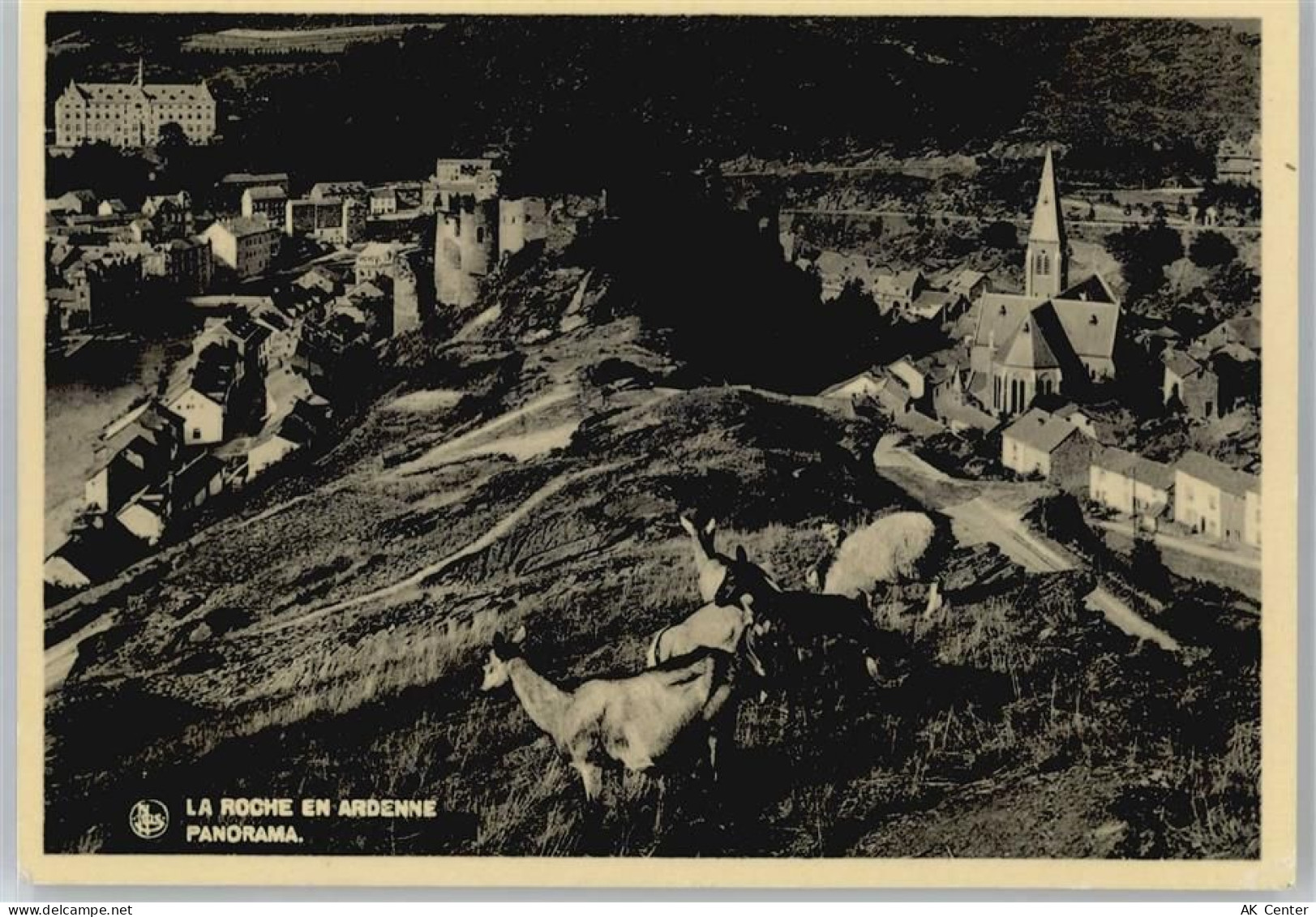 La Roche-en-Ardenne - Teilansicht - 50730609