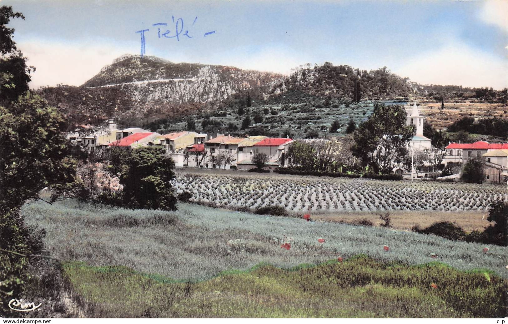 La Roquebrussanne - Vue Generale  - CPSM °J