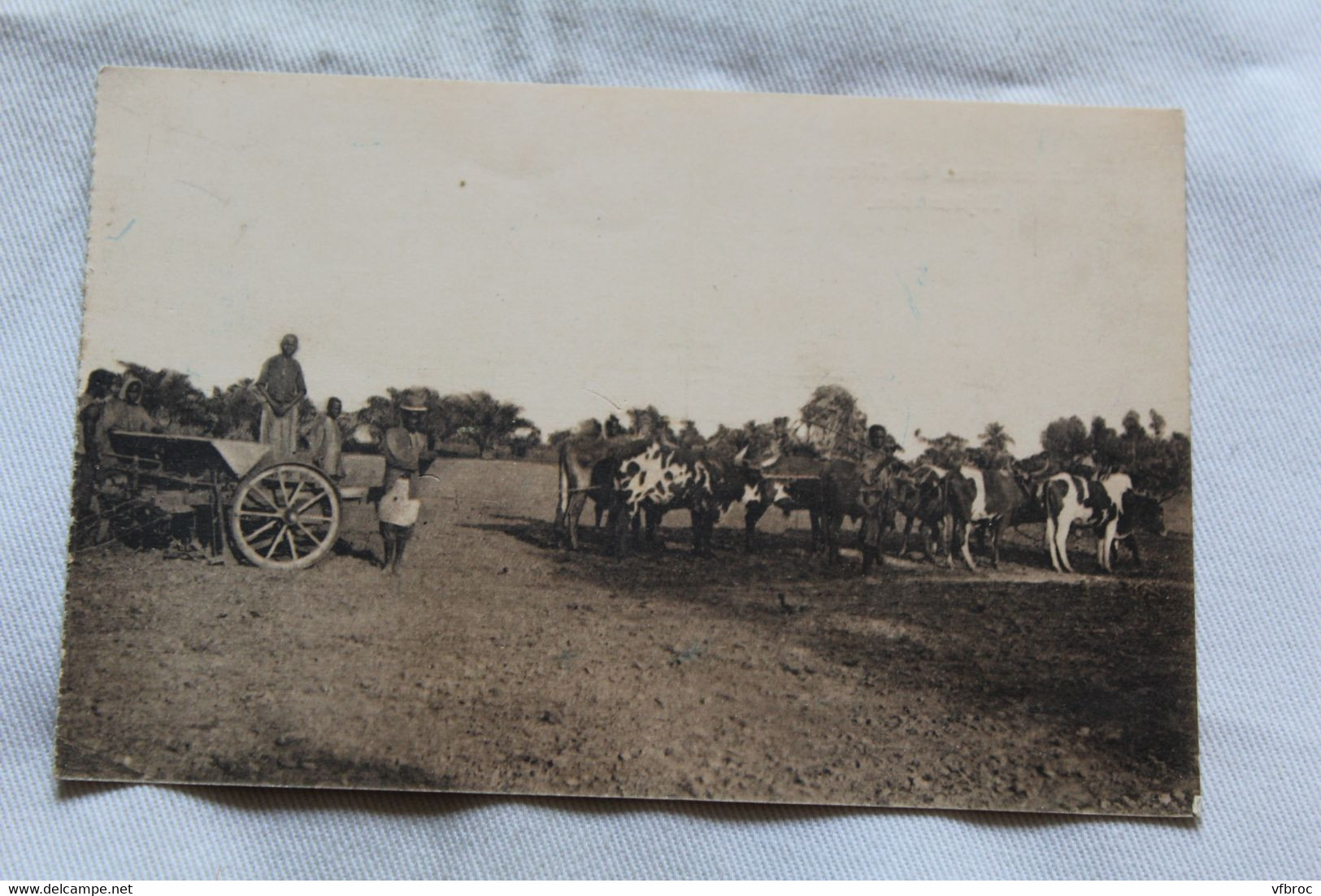 la semeuse de Kisantu, Rijstzaaien, Congo Belge, Afrique