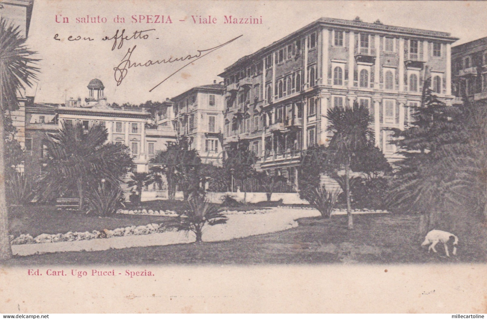LA SPEZIA - Viale Mazzini