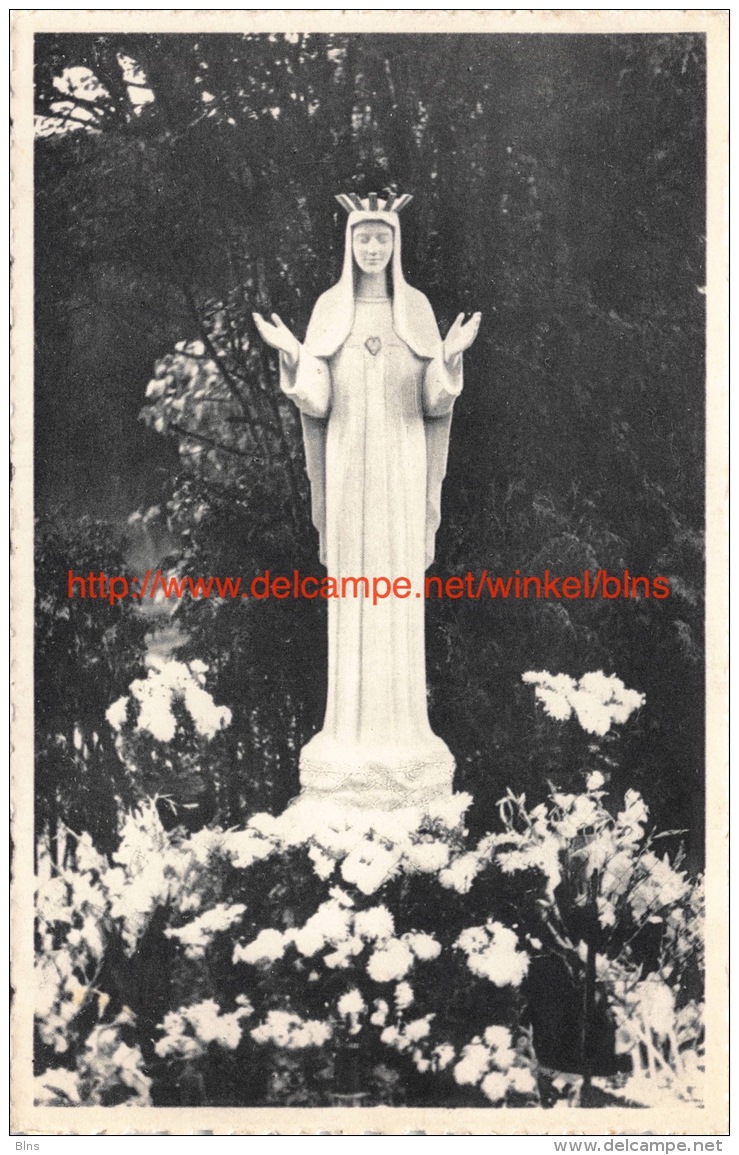 La Statue sous l'Aubépine - Beauraing