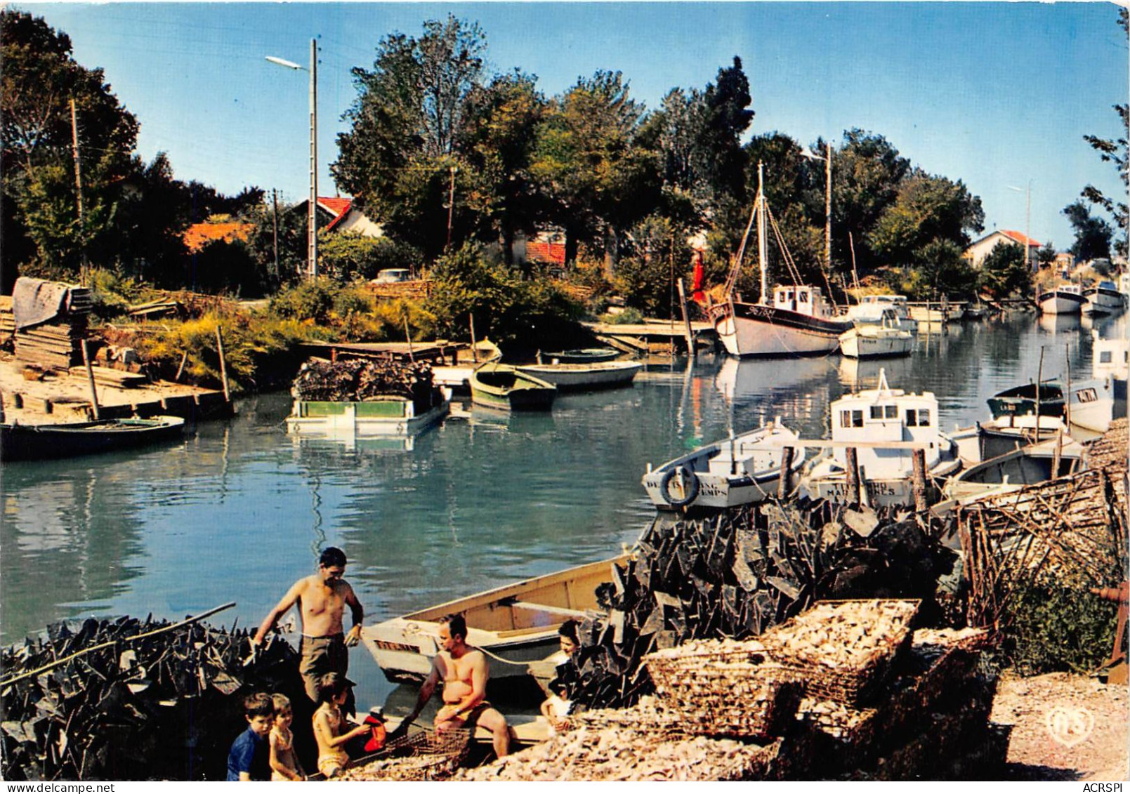 LA TREMBLADE Le canal Manes d huitres et collecteurs prepares pour etre transportes 7(scan recto-verso) MA935