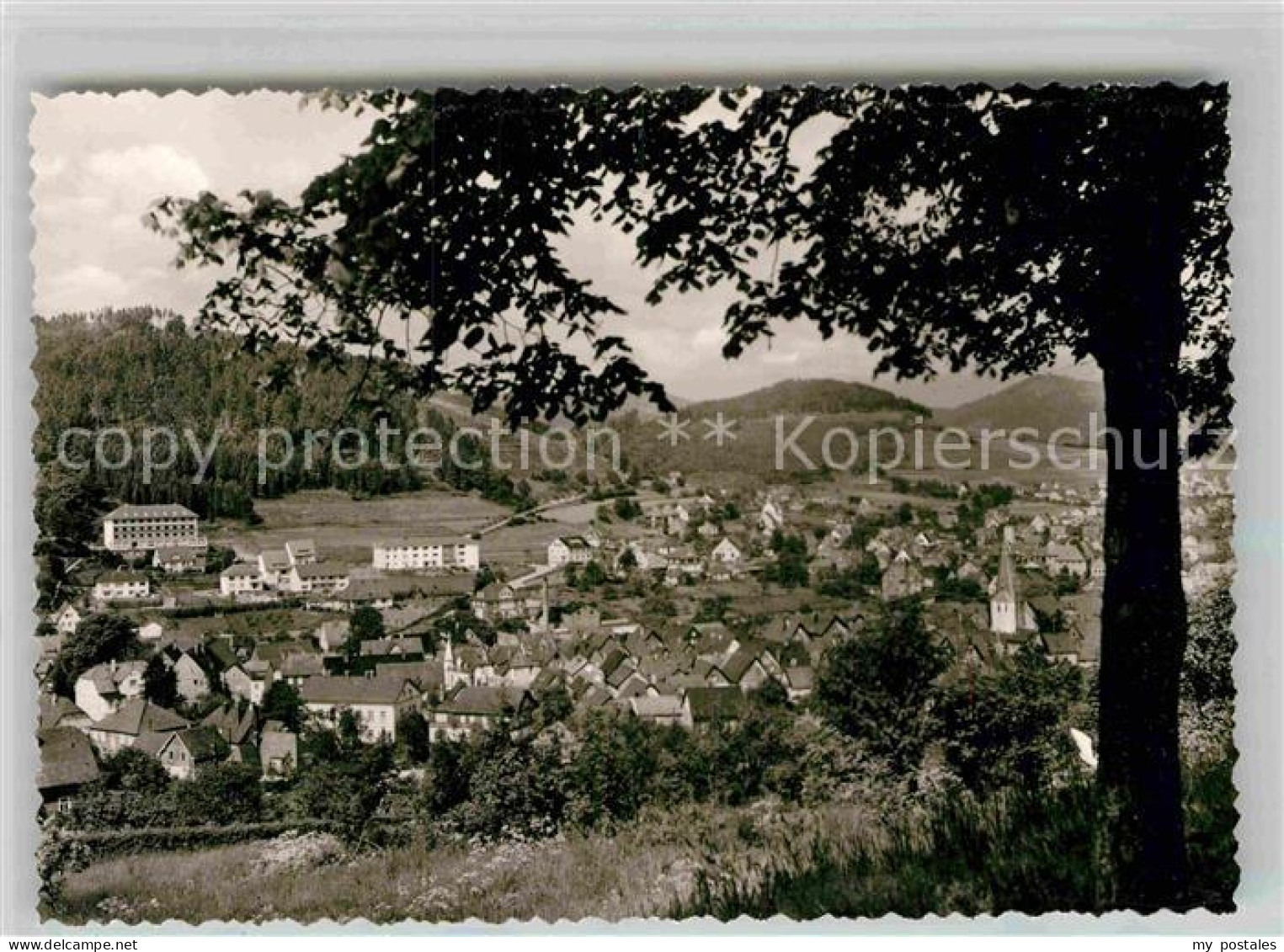Laasphe BAD LAASPHE NRW Panorama