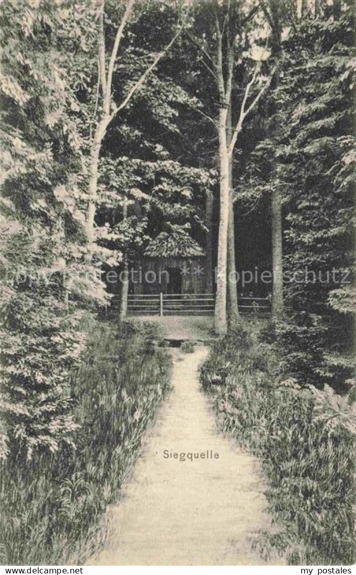 Laasphe BAD LAASPHE NRW Siegquelle