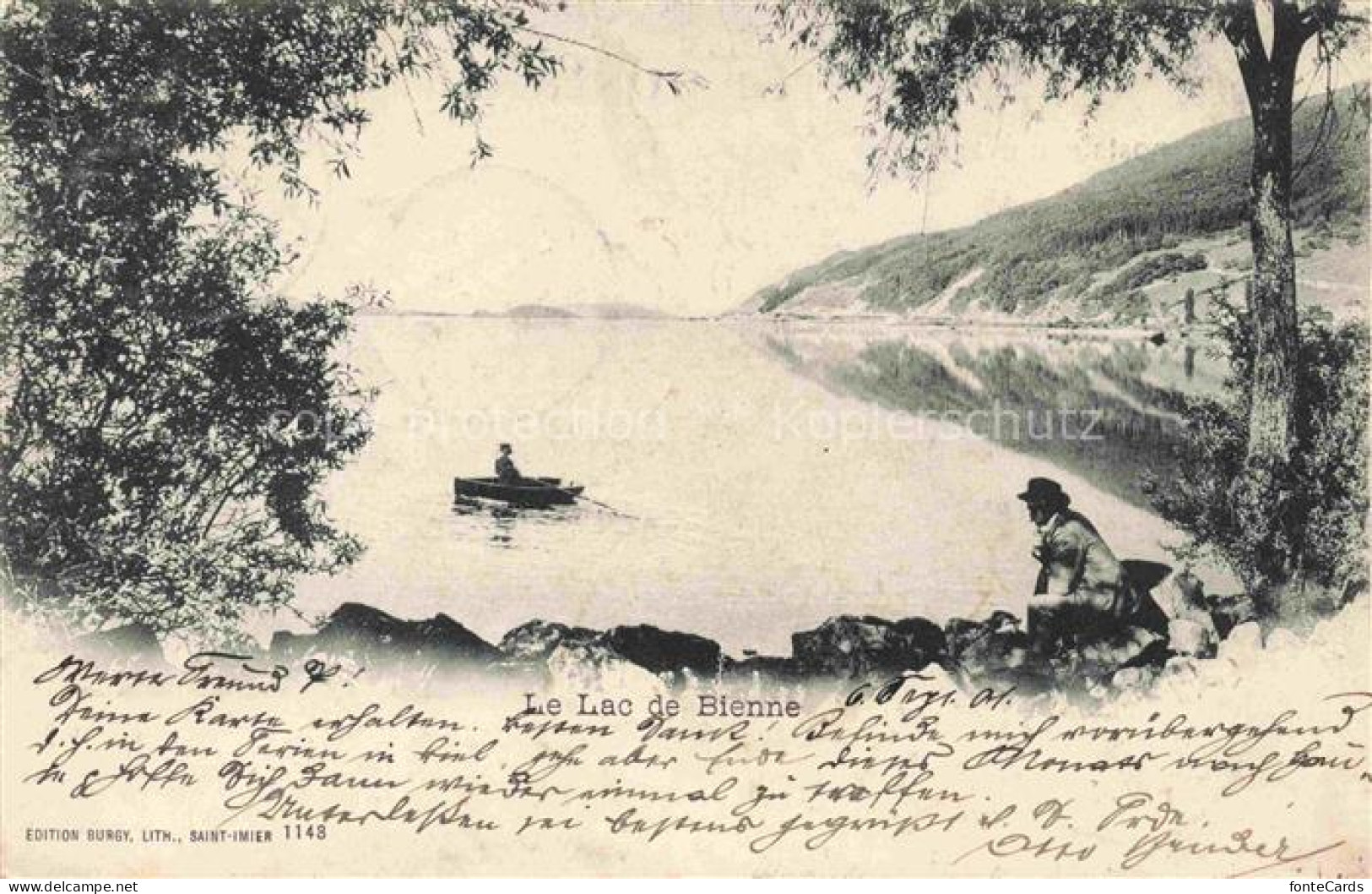 Lac de Bienne Bielersee BE Vue panoramique