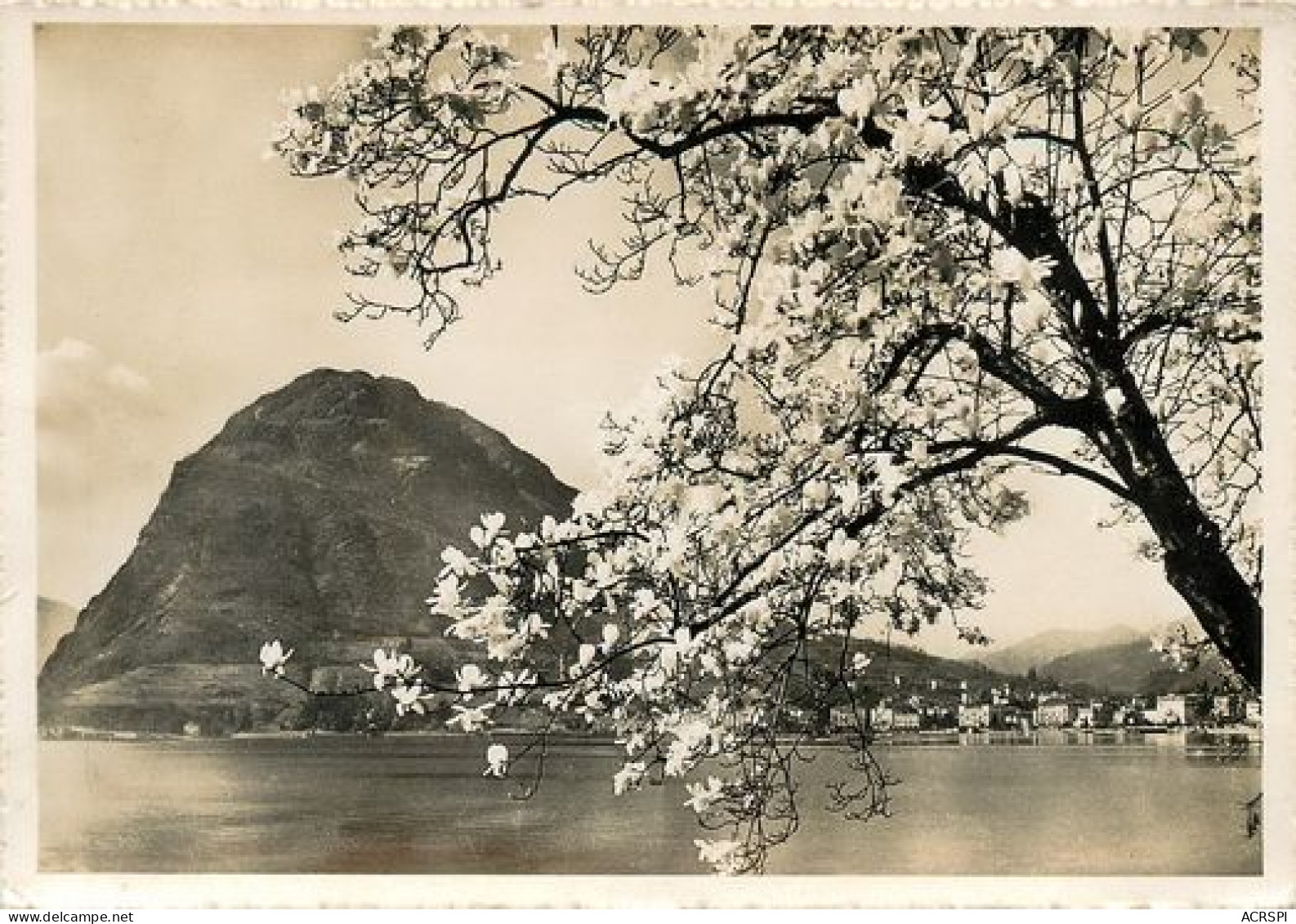 lac de Lugano Lago di Lugano ou Lago Ceresio TESSIN et LOMBARDIE suisse et Italia 41  (scan recto-verso)MA2271Ter