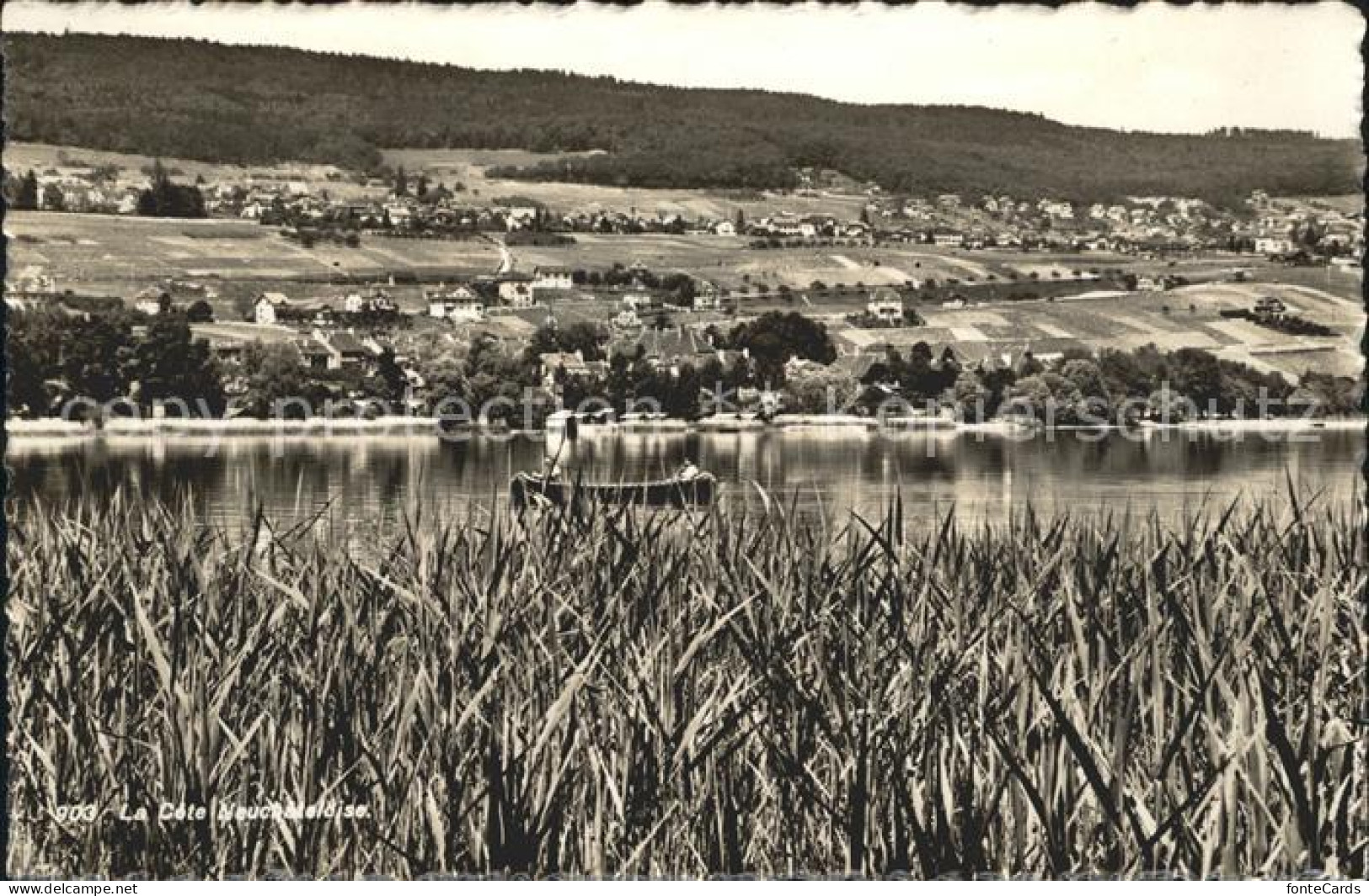 Lac de Neuchatel La Cote Neuchateloise