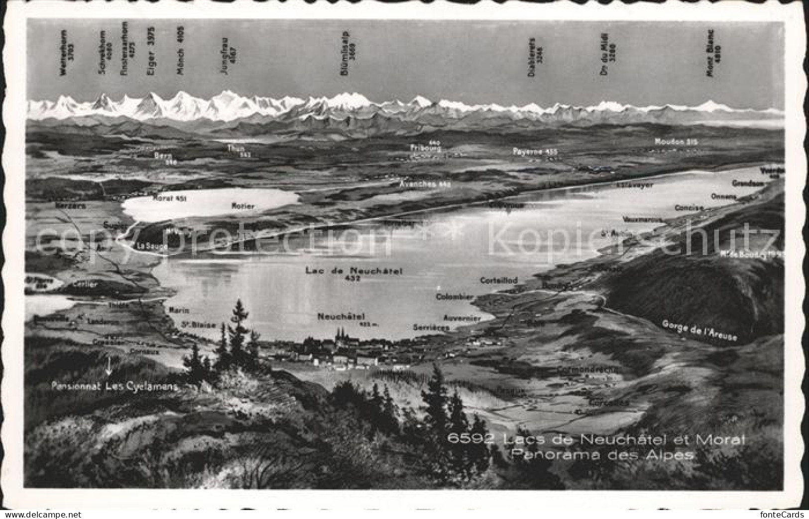 Lac de Neuchatel Lac de Morat Panorama des Alpes a vol d oiseau