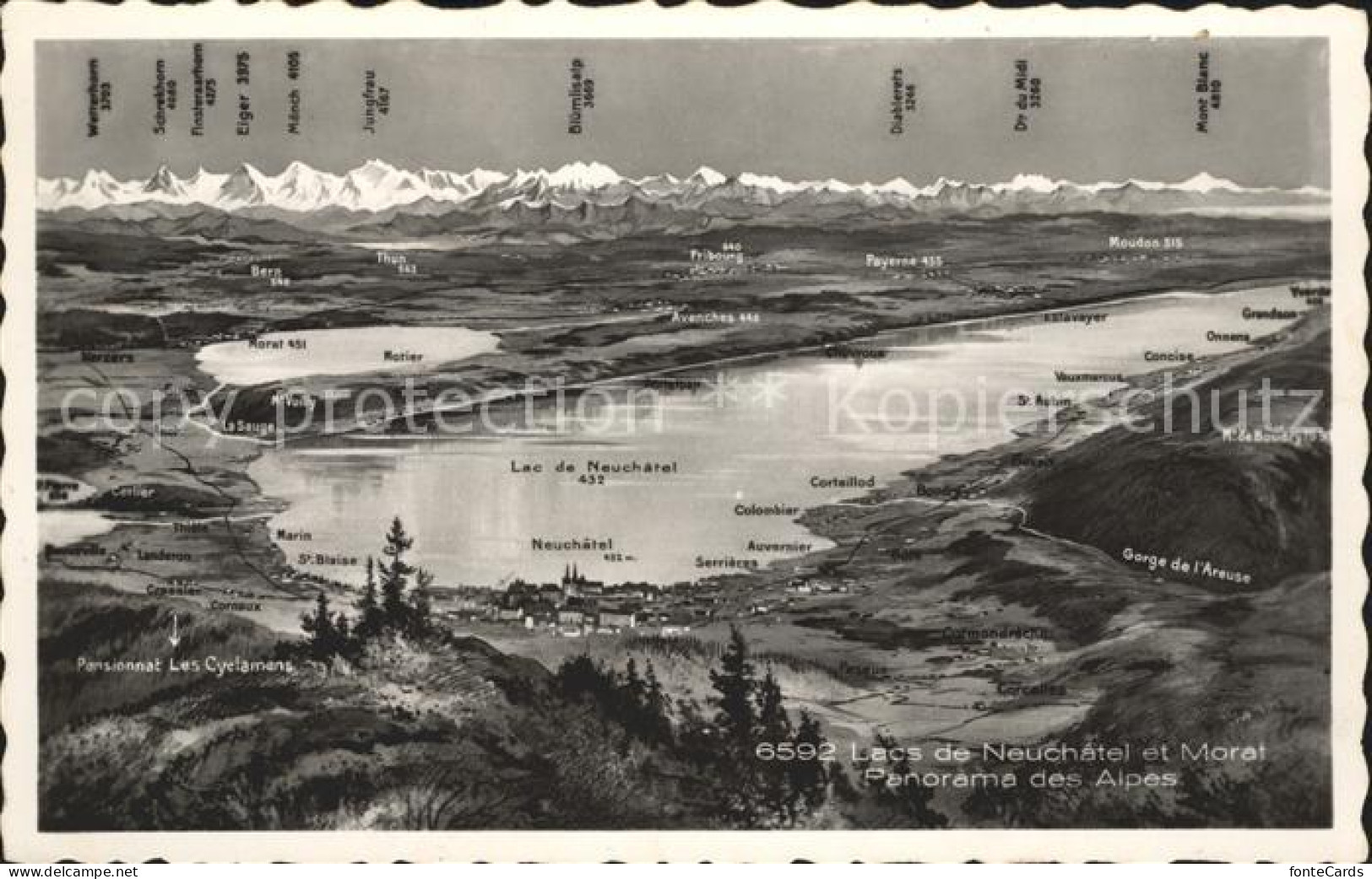 Lac de Neuchatel Lac Morat Panorama des Alpes a vol d oiseau