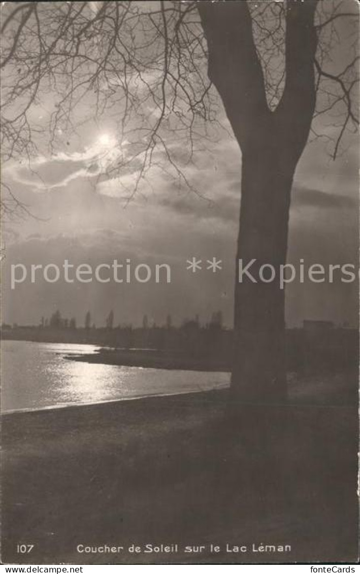 Lac Leman Genfersee Coucher de Soleil au bord du lac