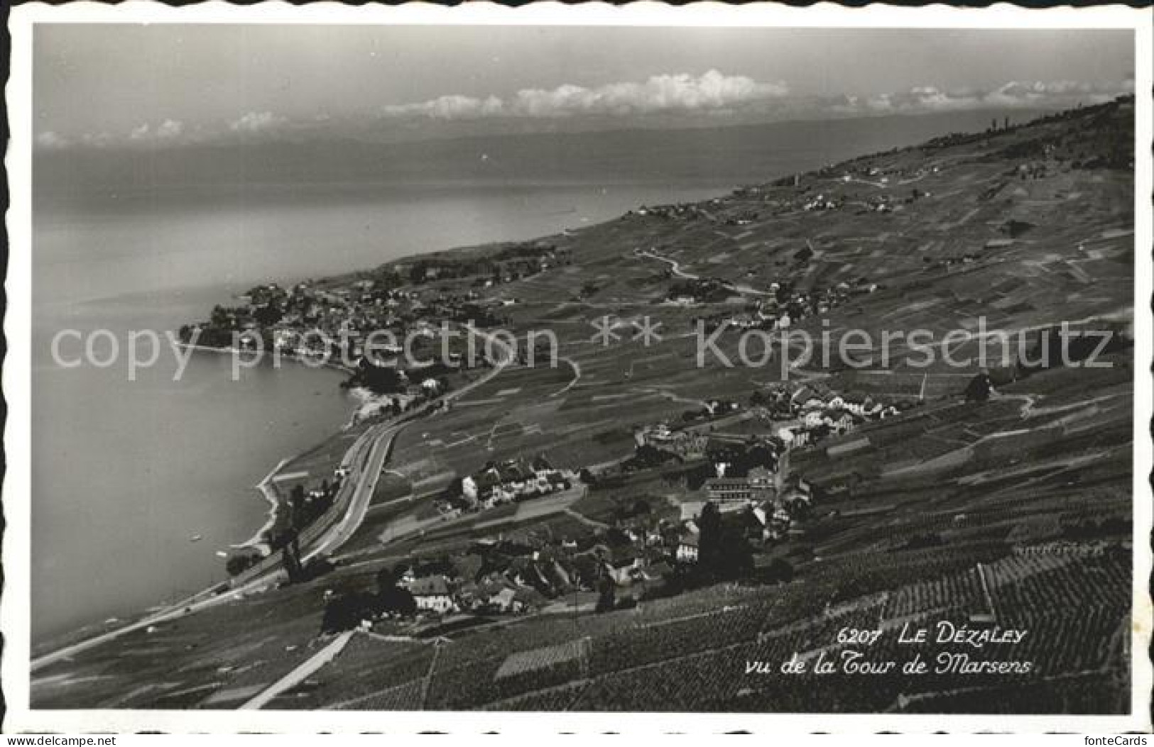 Lac Leman Genfersee Fliegeraufnahme Tour de Marsens Le Dezaley