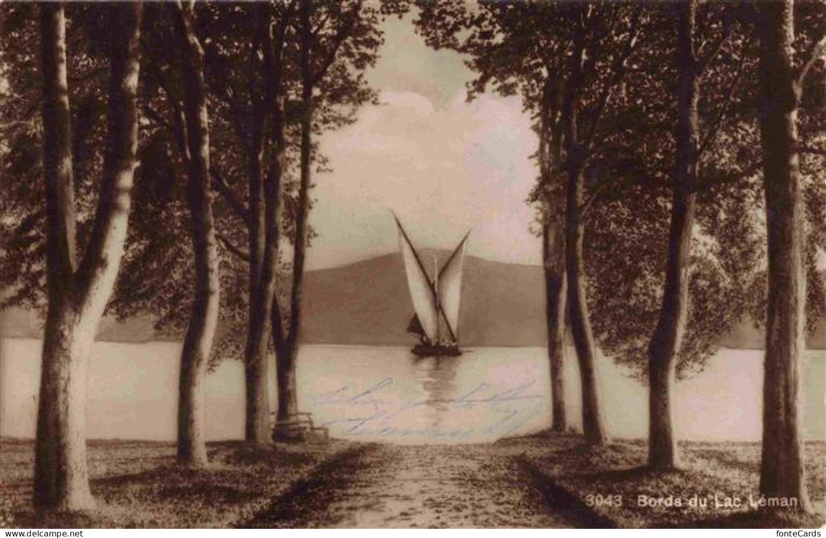 Lac Leman Genfersee GE Bords du Lac Leman