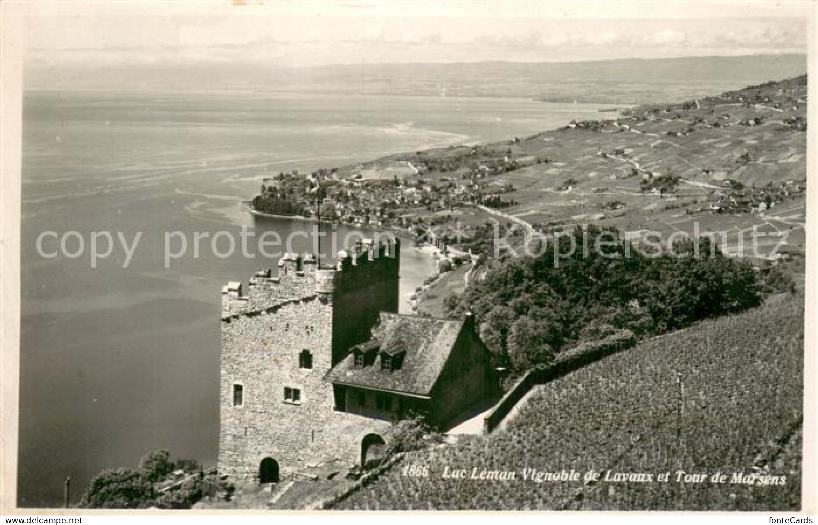 Lac Leman Genfersee GE Vignoblede Lavaux et Tour de Marsens