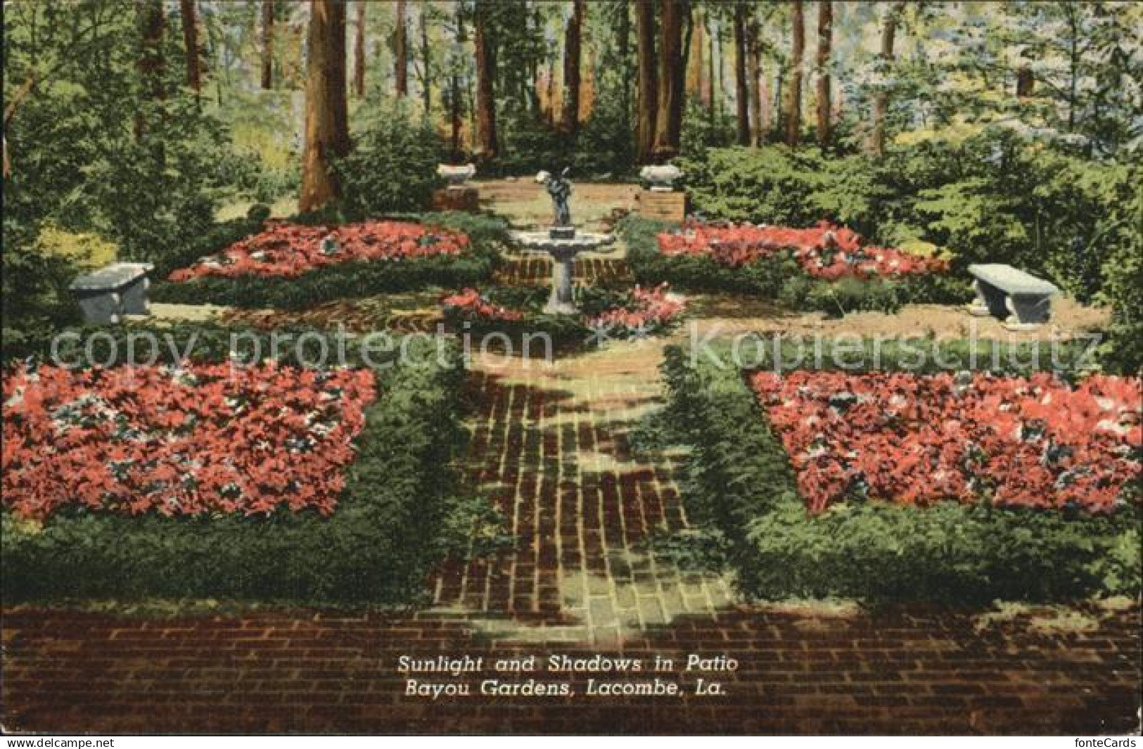Lacombe Louisiana Patio Bayou Garden