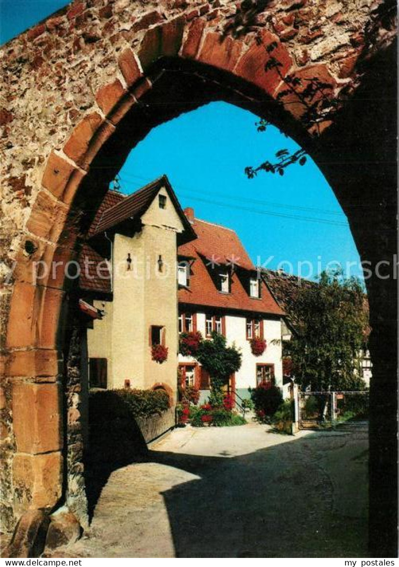 Ladenburg Jesuitenhof