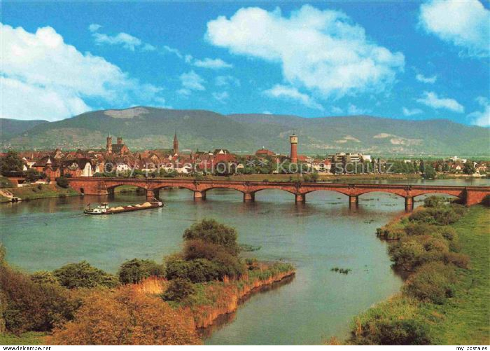 Ladenburg Neckar Bruecke Stadtansicht Kirchturm Wasserturm Schiff Auen