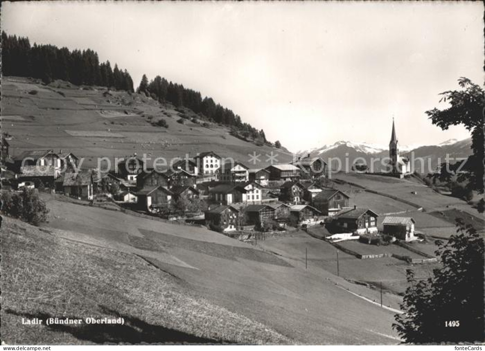 Ladir Buendner Oberland Panorama