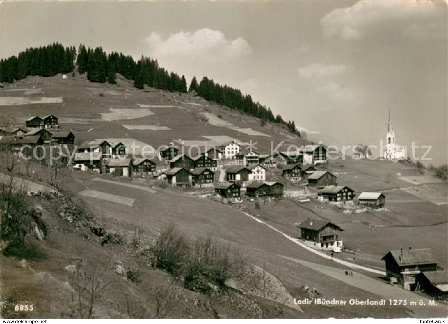 Ladir Panorama
