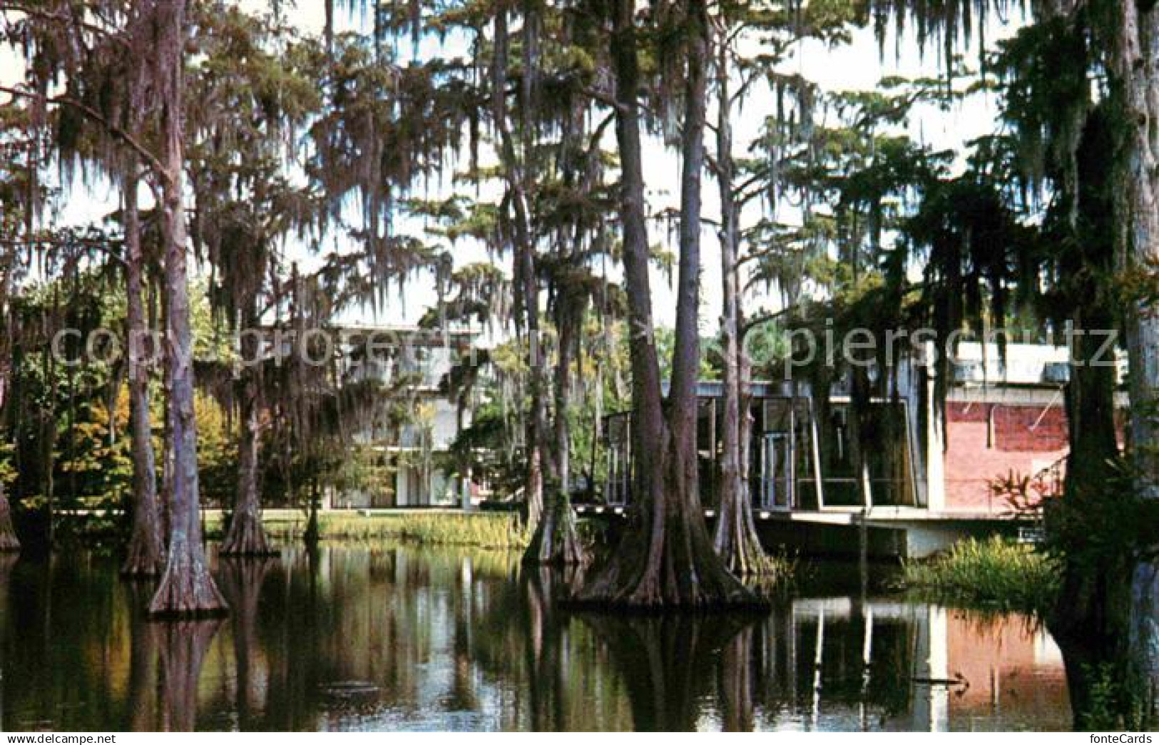 Lafayette Louisiana Cypress Lake