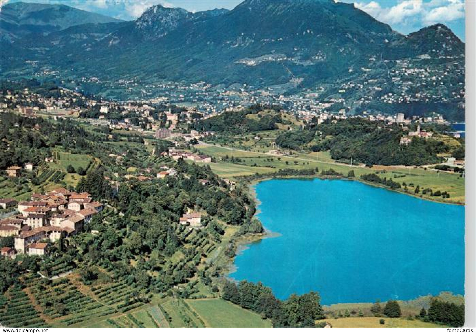 Lago di Muzzano Lugano TI Lago-di-Muzzano See Fliegeraufnahme Berge Lugano Weinb