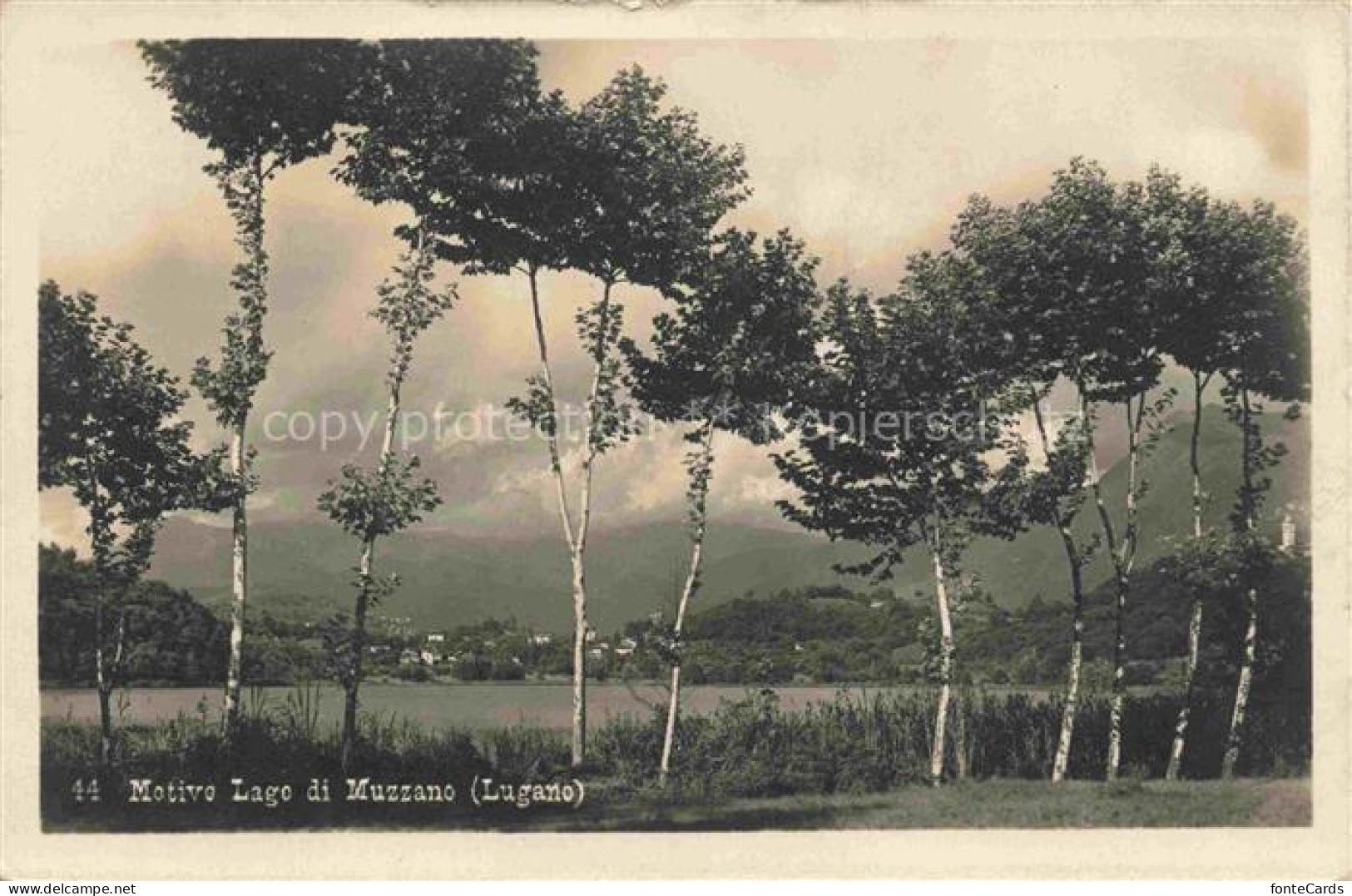 Lago di Muzzano Lugano TI Panorama