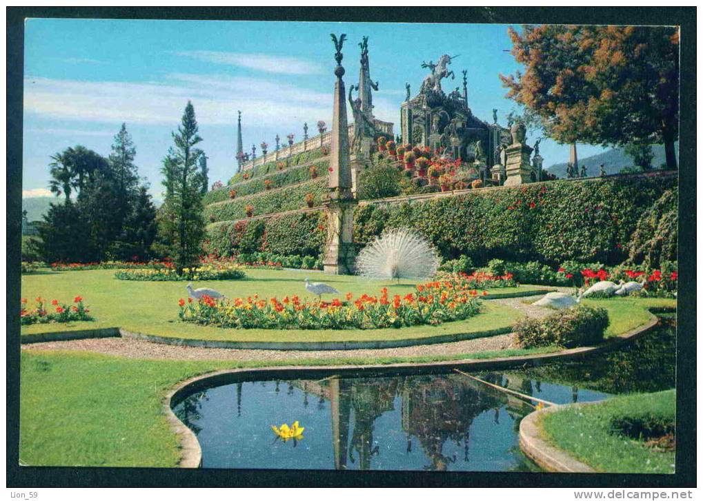 LAGO MAGGIORE - ISOLA BELLA - GIARDINI E TERRAZZE - Italia Italy Italie Italien Italie 55309