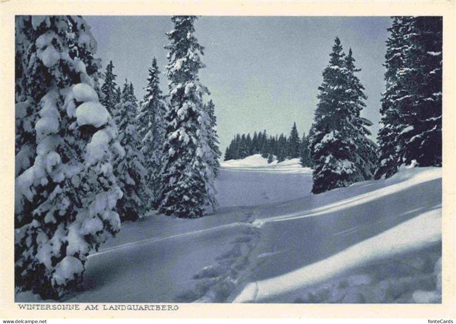 Landquart GR Winteridyll am Landquartberg
