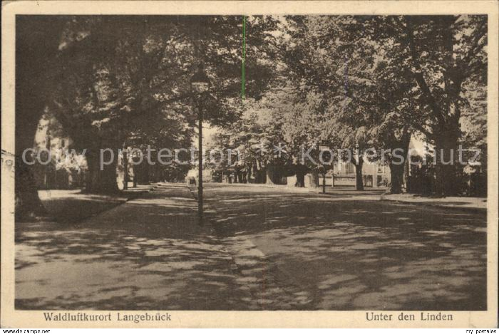 Langebrueck Unter den Linden