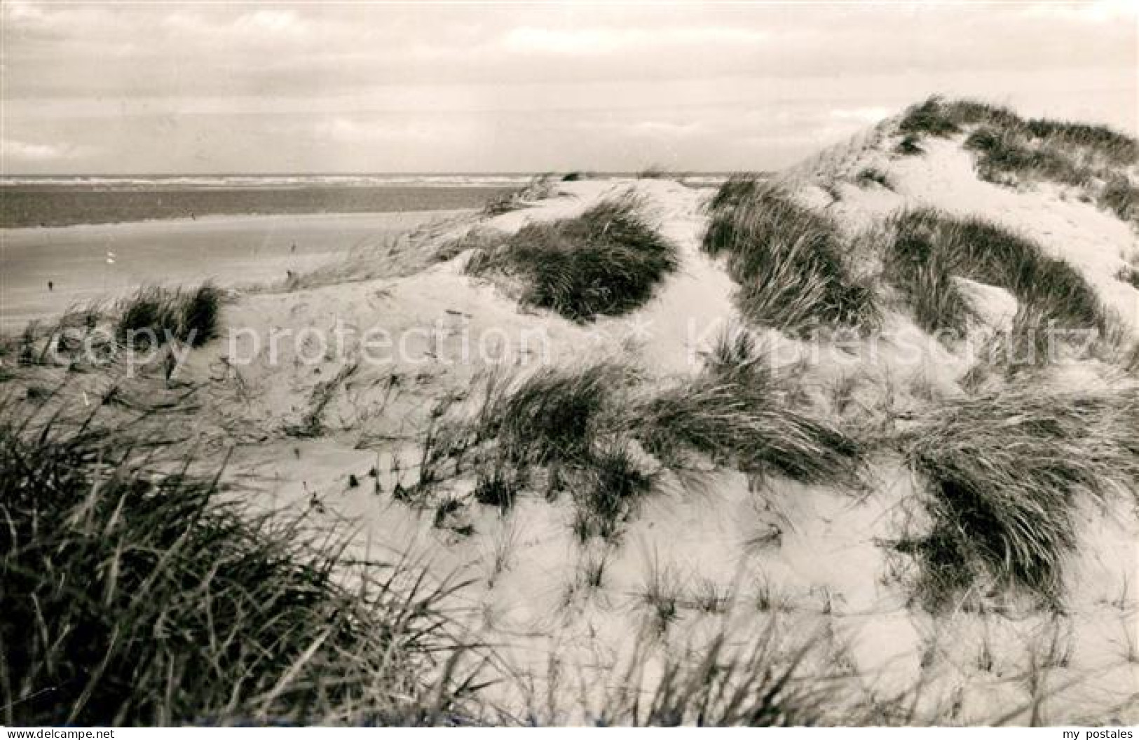 Langeoog Nordseebad Duenen