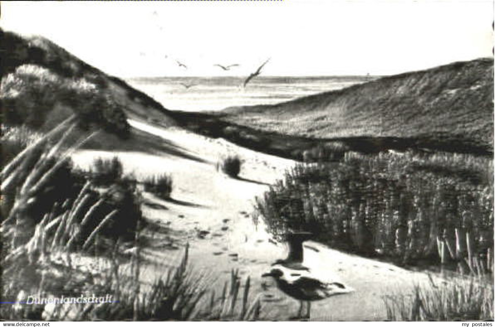 Langeoog Nordseebad Langeoog  x 1964