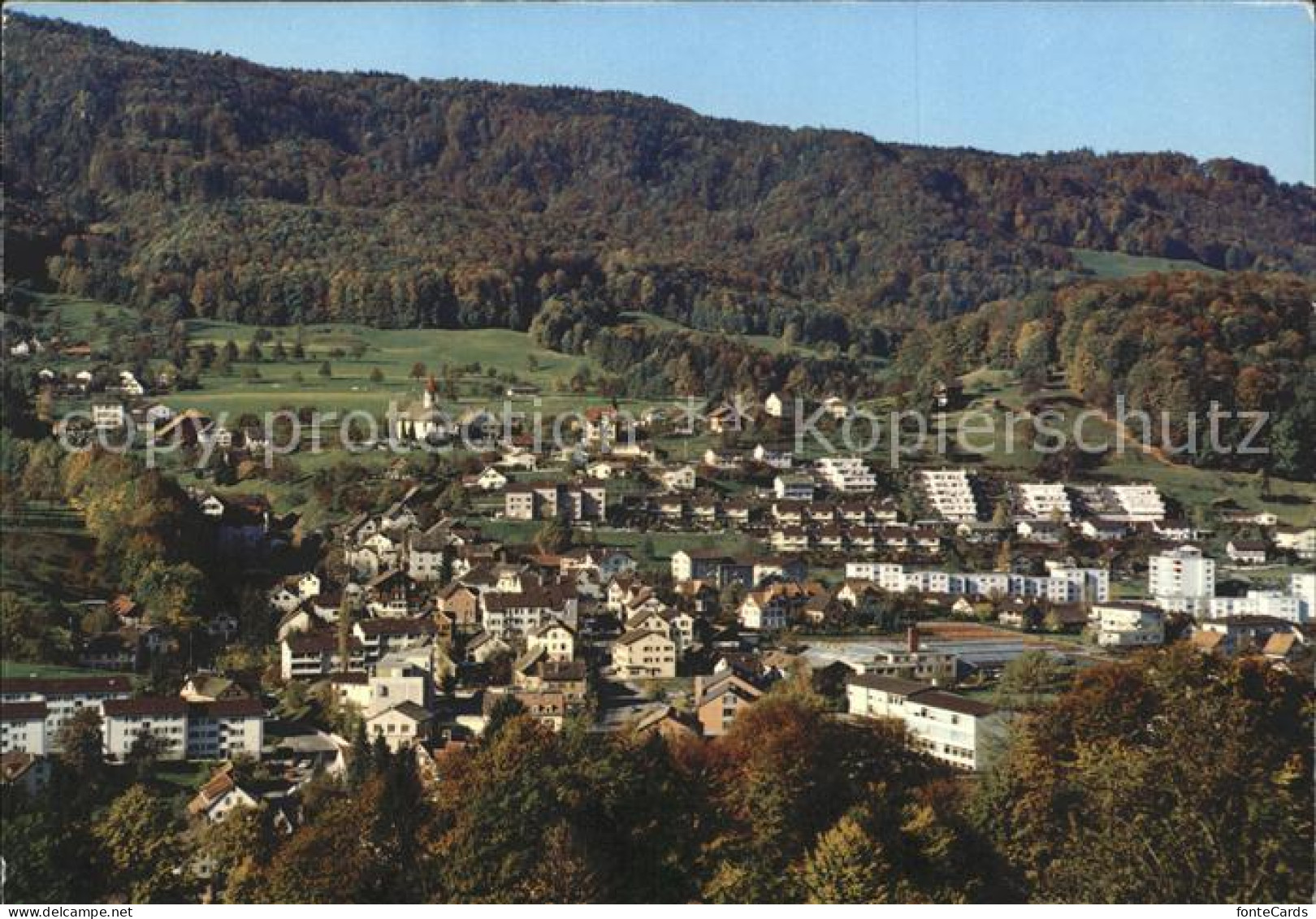 Langnau Albis Gesamtansicht