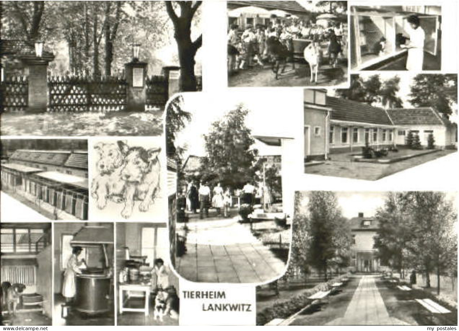 Lankwitz Berlin Tierheim