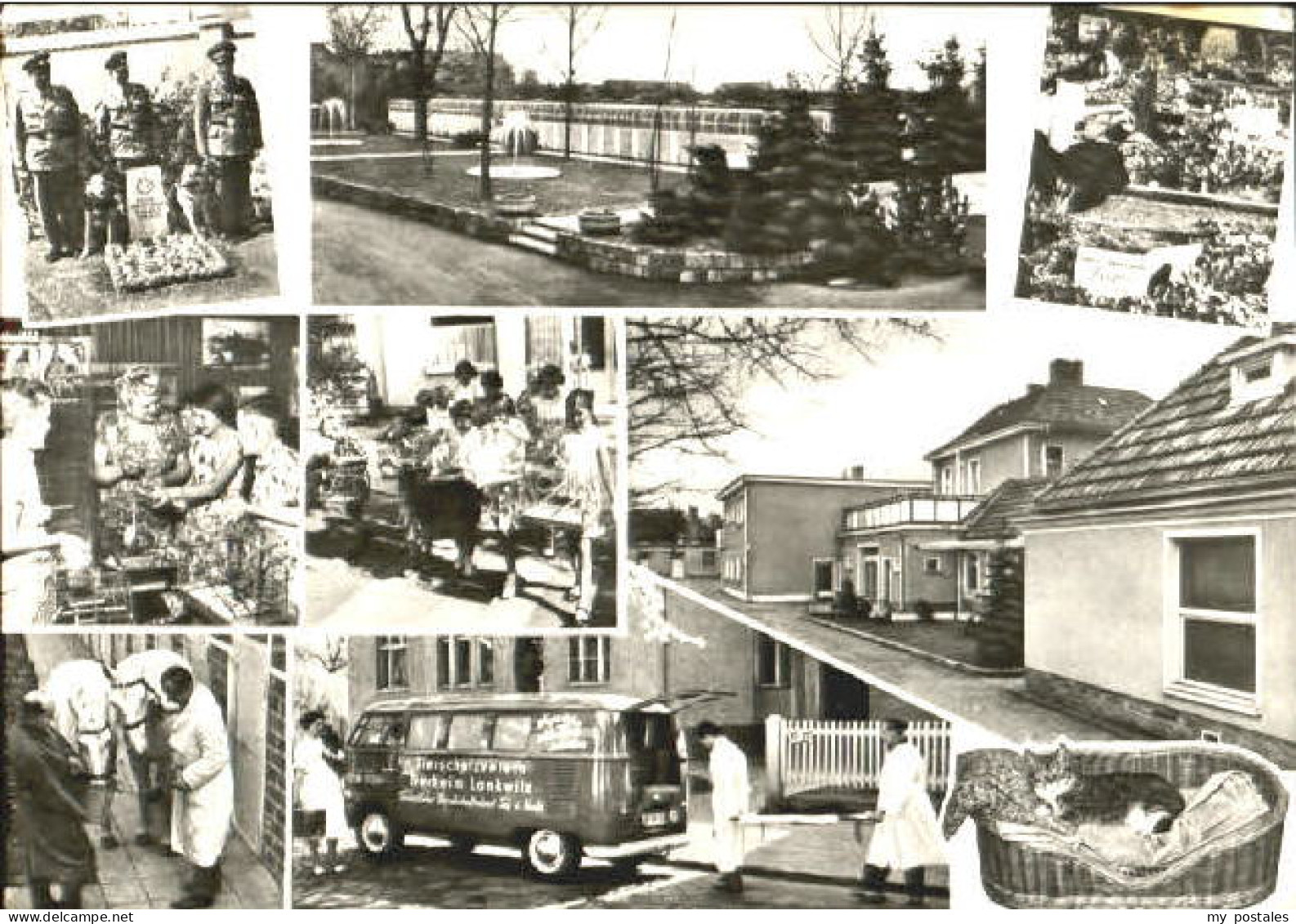 Lankwitz Berlin Tierschutzverein