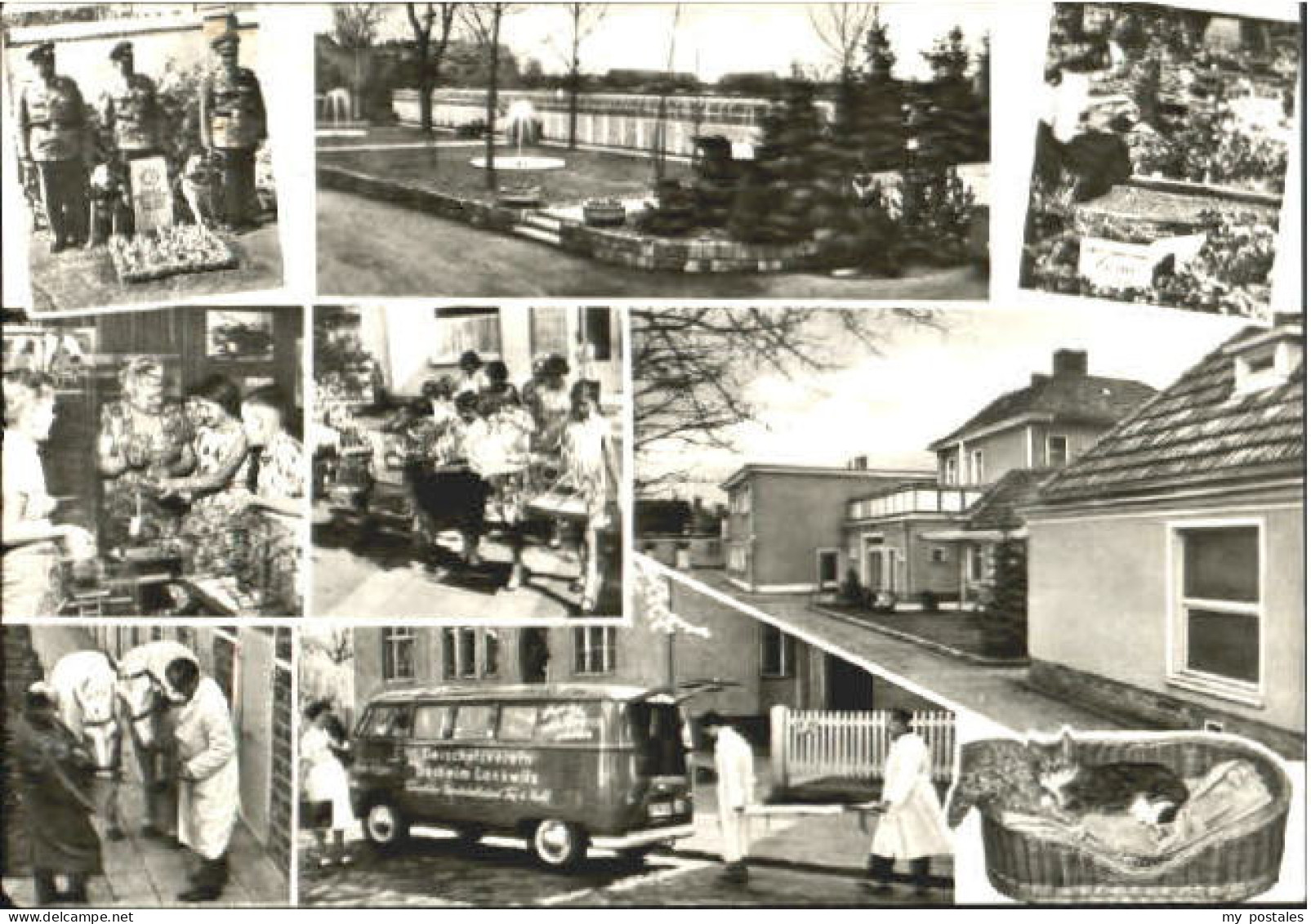 Lankwitz Berlin Tierschutzverein