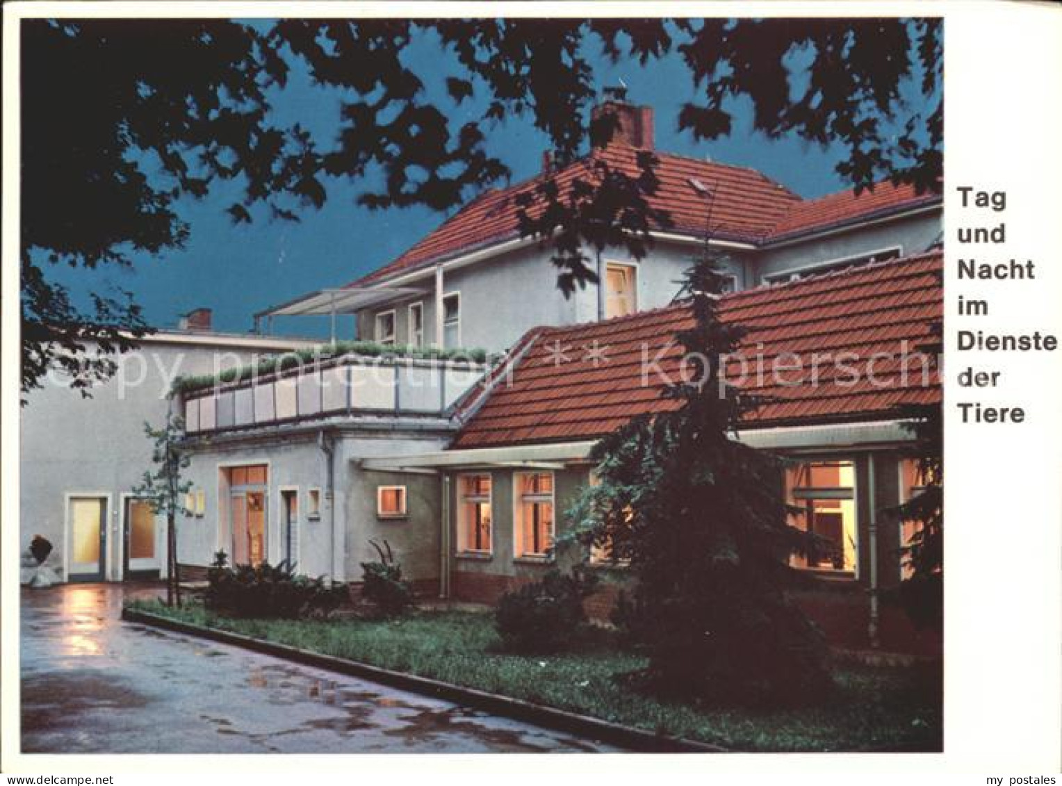 Lankwitz Tierschutzverein Tierpension