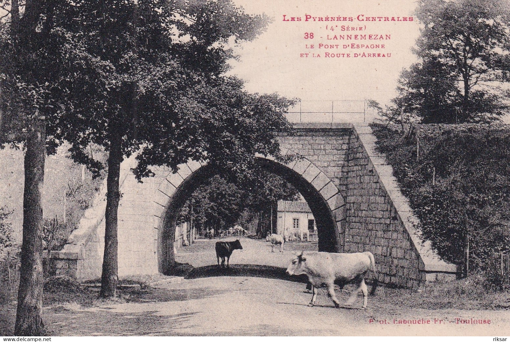 LANNEMEZAN(VACHE)
