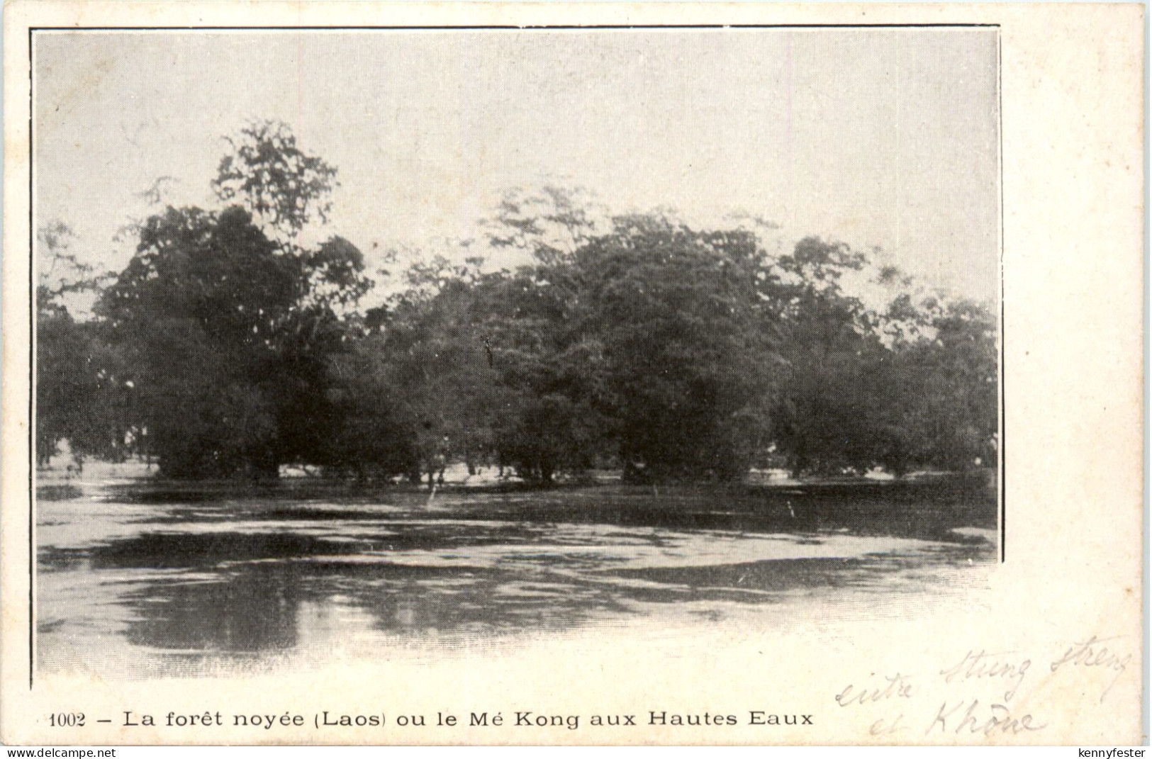 Laos - Me Kong - La foret noyee