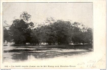 Laos - Me Kong - La foret noyee