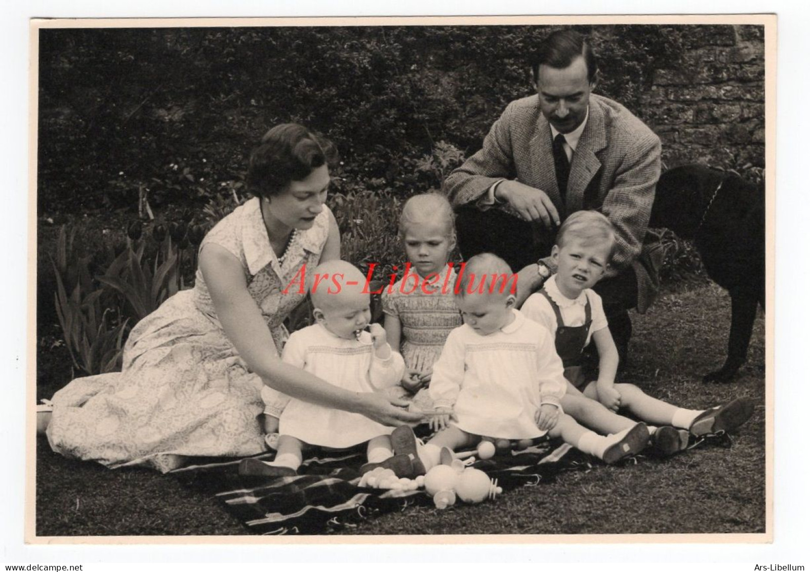 Large postcard / ROYALTY / famille grand-ducale luxembourgeoise / luxemburgische Monarchie / Tony Krier / unused