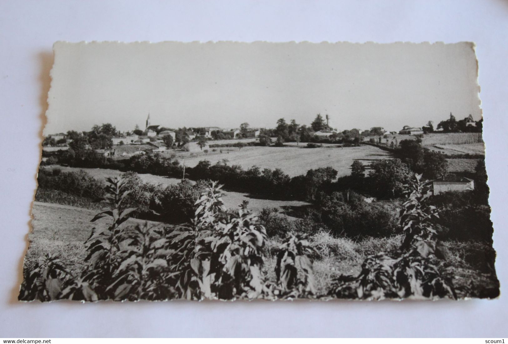 laroque timbaut vue generale