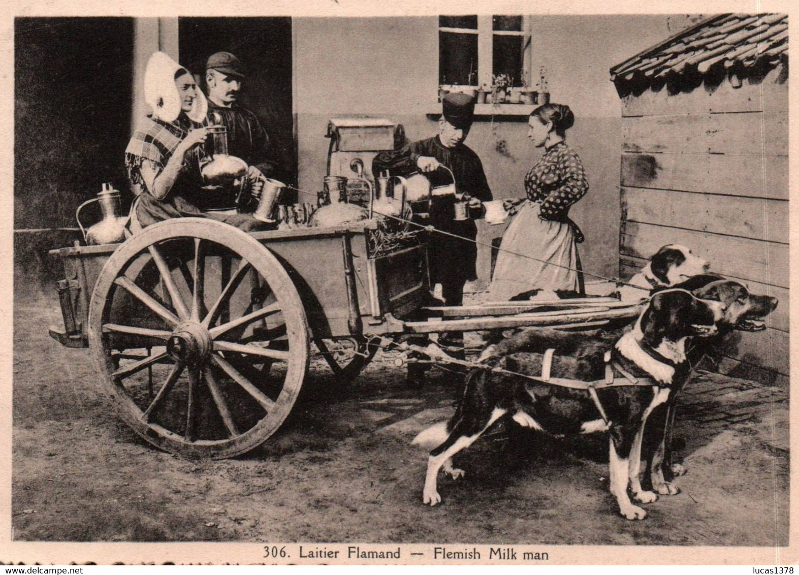 LATIER FLAMAND / ALBERT 306