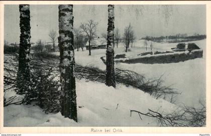 Letland Latvia - Orlik - Ruine bei Orlik