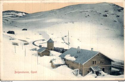 Noorwegen Norway - Bergensbanen