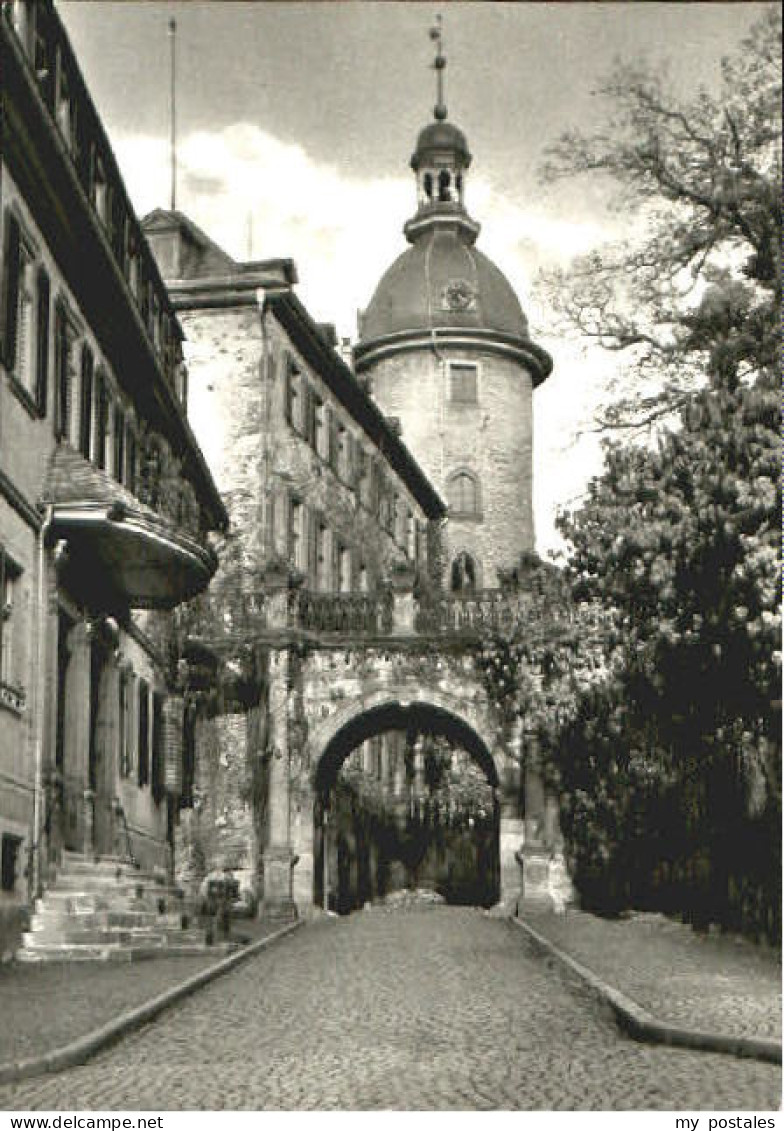 Laubach Hessen Schloss