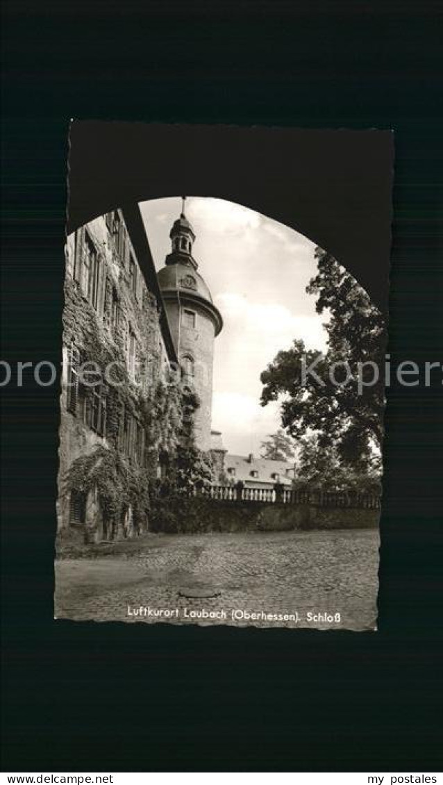 Laubach Hessen Schloss